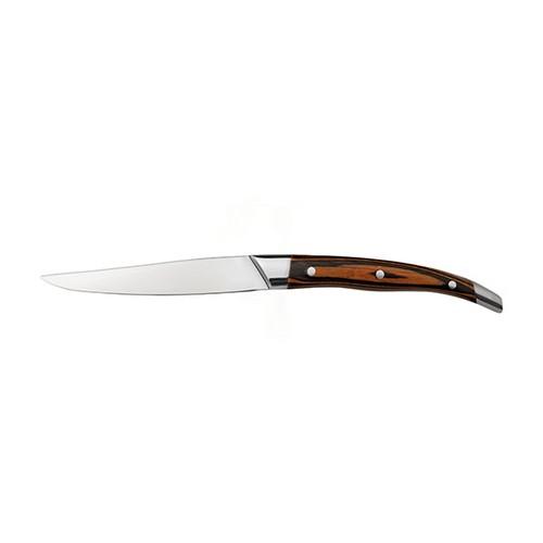 STEAK KNIFE 242MM POINT TIP PISTACHE HANDLE LACROX CAVALIER (ST6) QCC